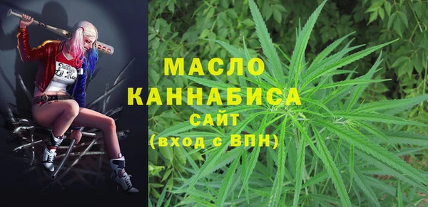 прущие грибы Каменка