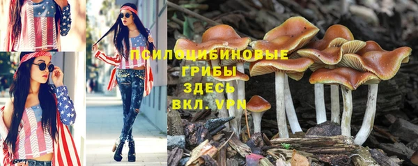 амф Няндома
