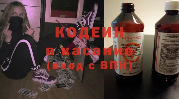 амф Няндома